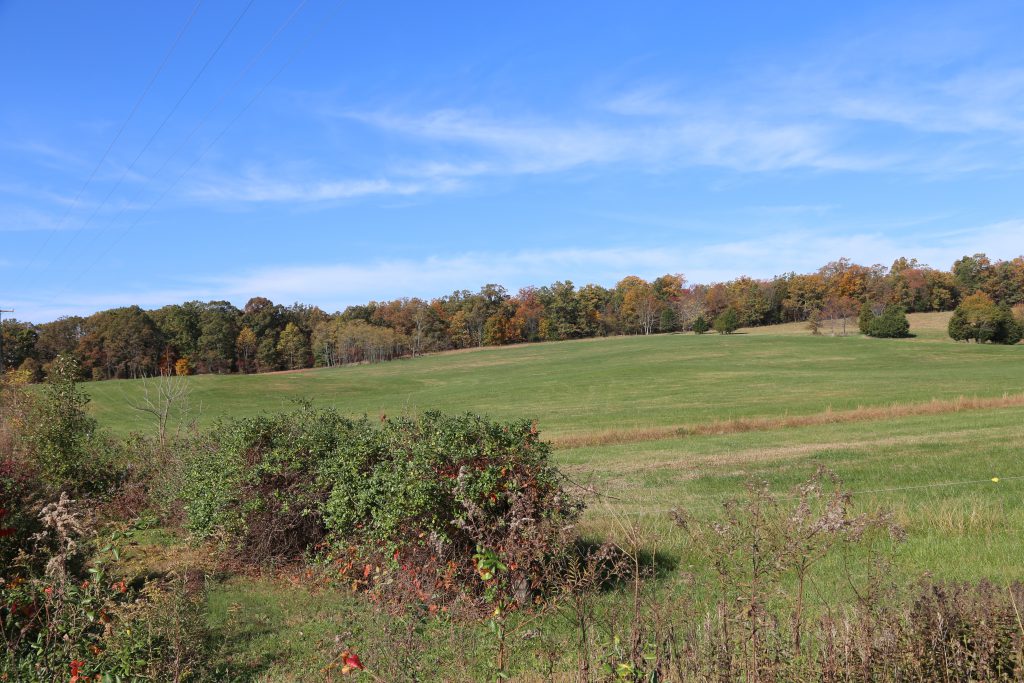 Partnership adds to protection of Brandy Station Battlefield in ...