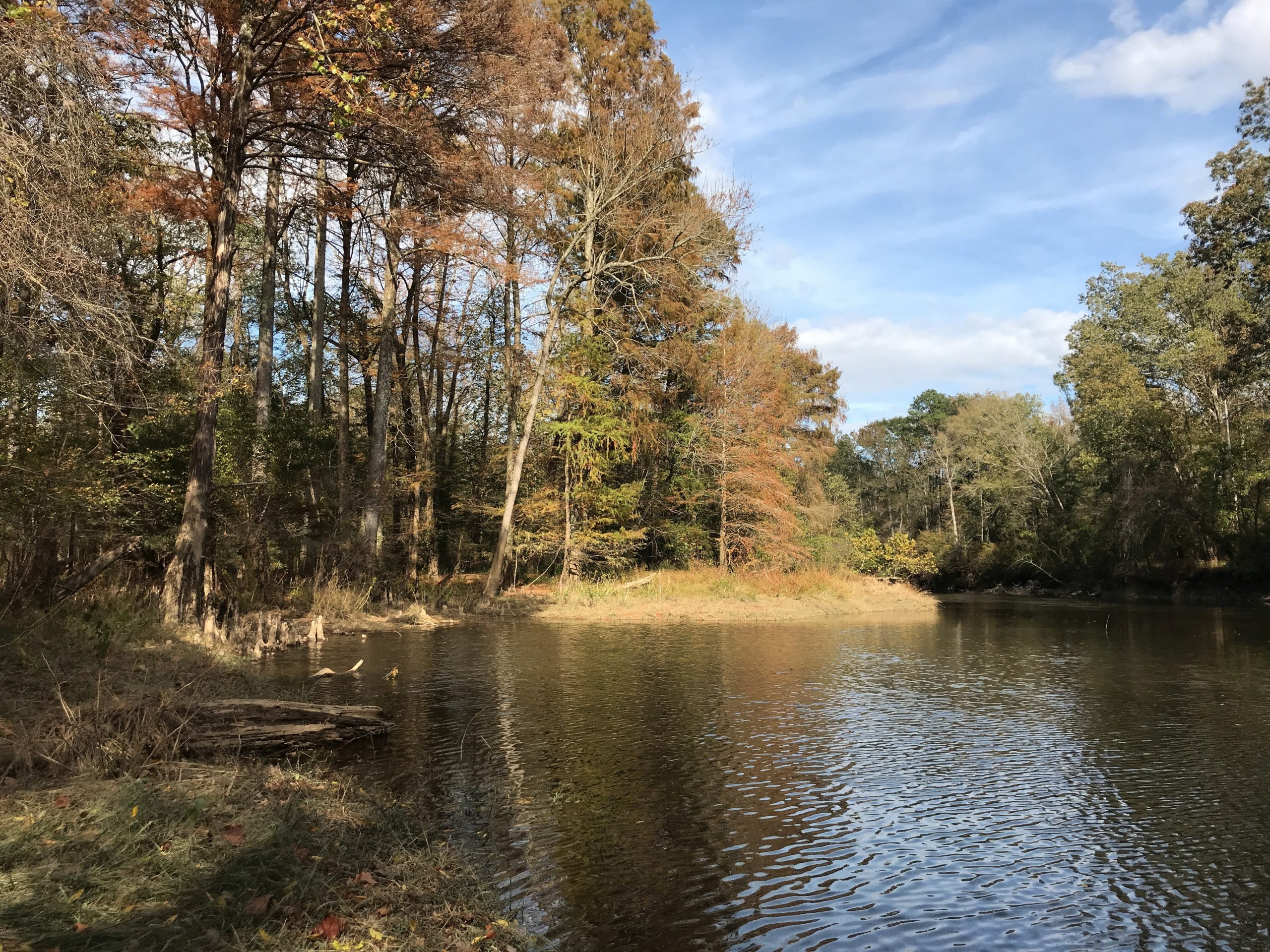 VOF protected nearly 2 acres every hour in 2019 - Virginia Outdoors ...