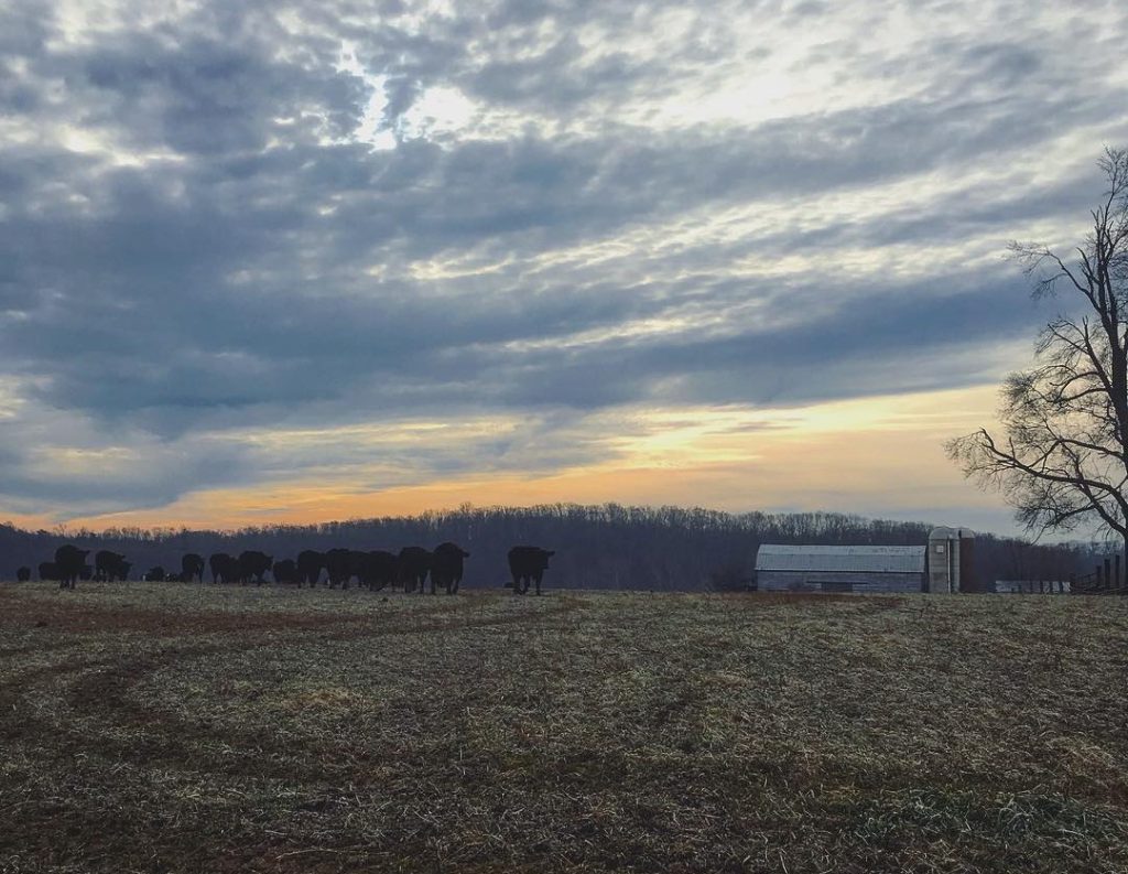 Virginia Outdoors Foundation | Protecting Virginia's Open Spaces