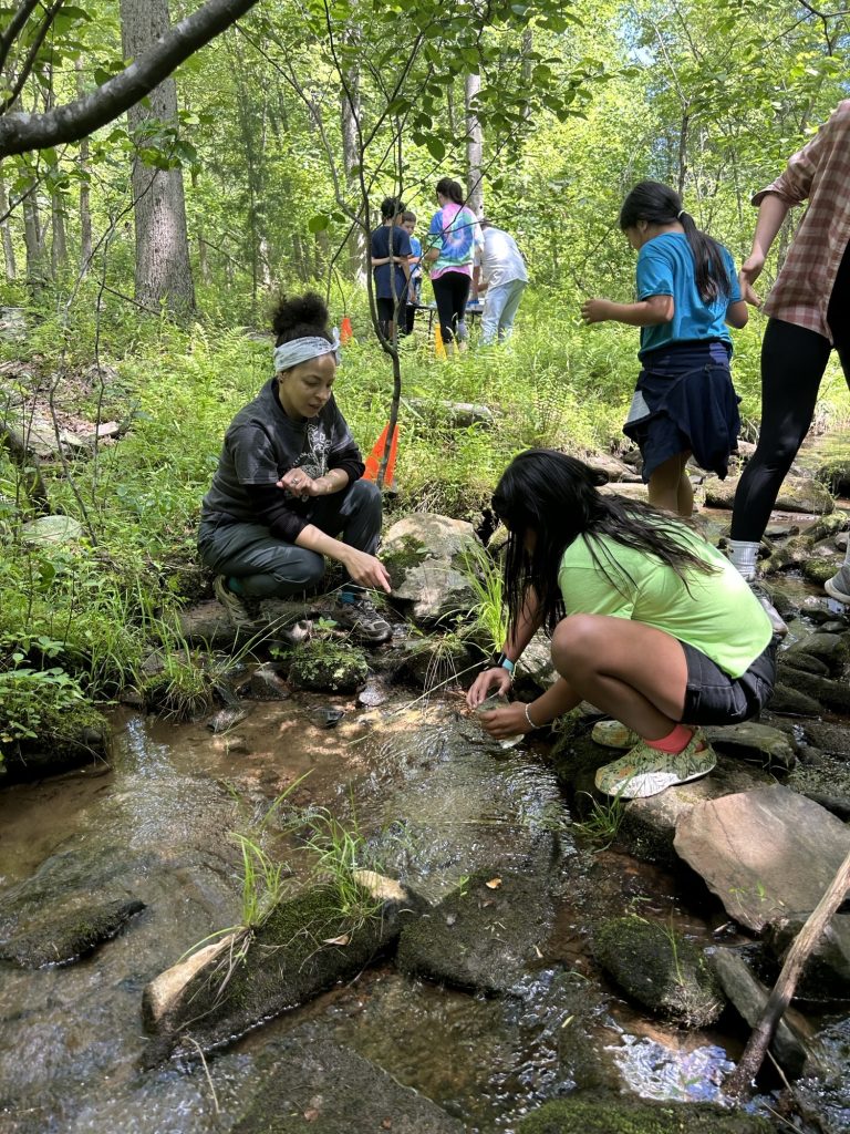 Trout in the Classroom are Released into the Catharpin at Jackson Hollow