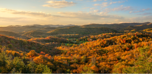 VOF opens $4 million forest protection grant round in Southwest Virginia